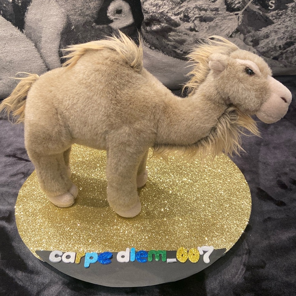 🍭🐪 Beautiful dromedary camel plush toy A&A